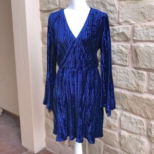 Blue Velvet Dress